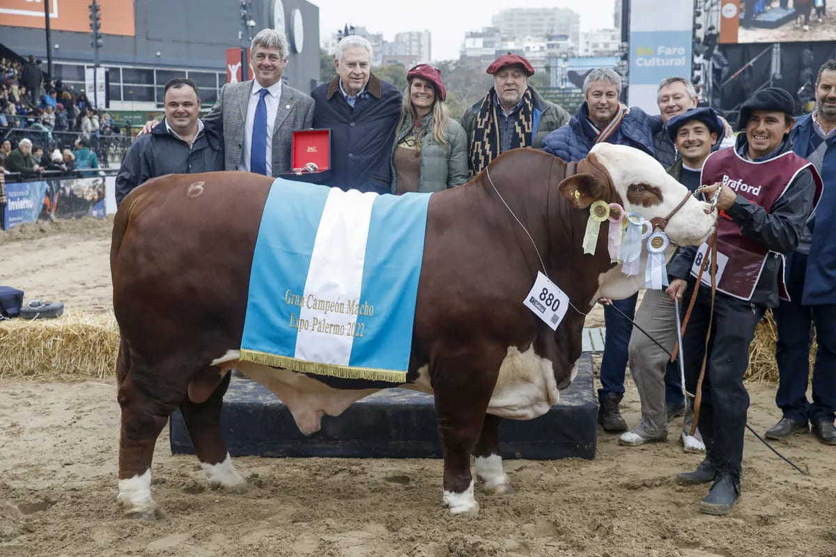 Braford consagró a sus grandes campeones en la Exposición Rural de Palermo