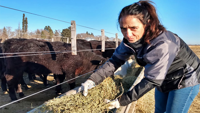 Inician ensayo de evaluación sobre el impacto del heno de alfalfa en la nutrición animal