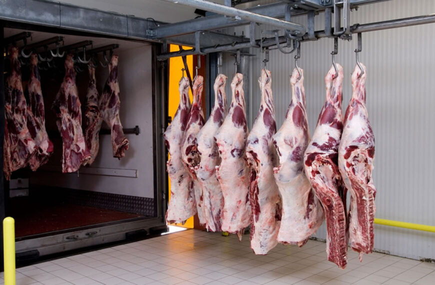 Caída de la producción de carne vacuna en regiones clave será compensada por Brasil, India y Australia