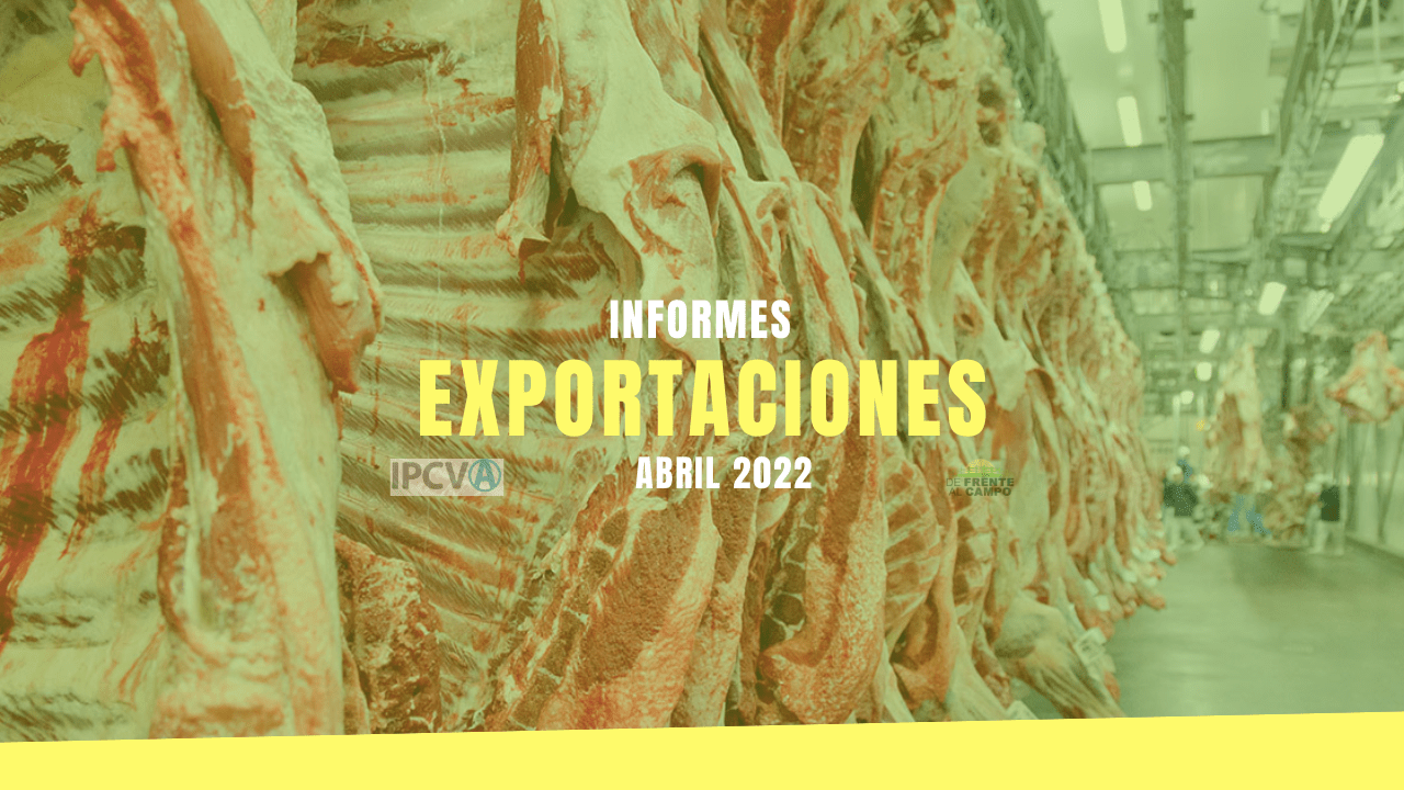 IPCVA: Informe de exportaciones de abril del 2022