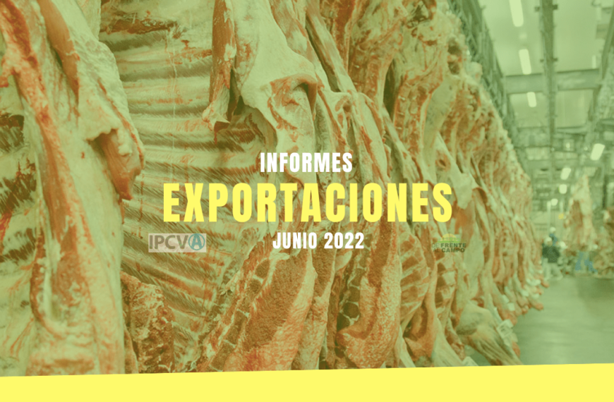 IPCVA: Informe de exportaciones de junio del 2022