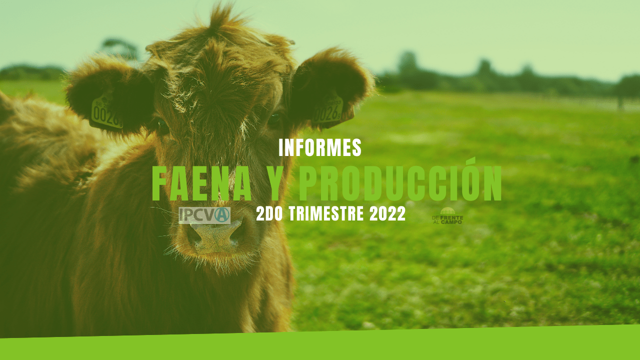 Informe de faena y producción 2do. Trimestre 2022