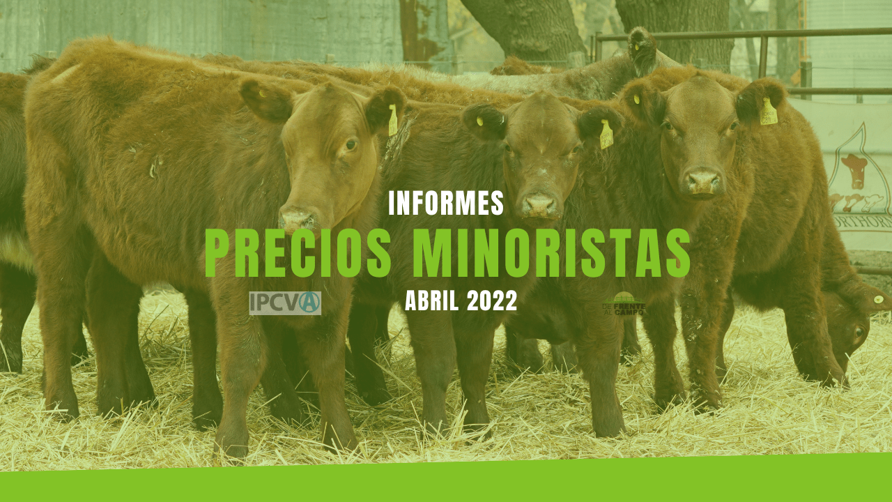 Informe de precios minoristas de abril de 2022