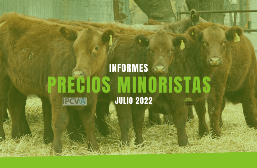 Informe de precios minoristas de julio de 2022