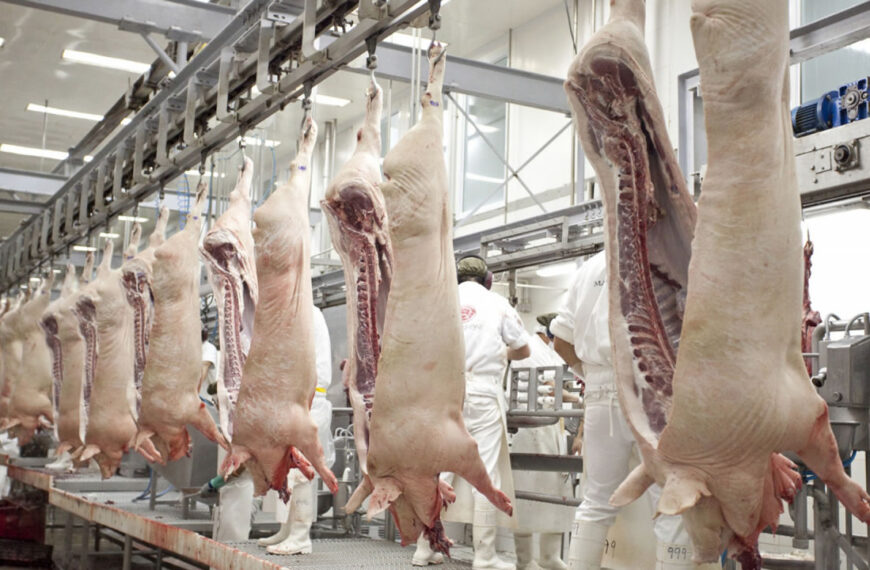 Nuevo mercado: Singapur habilita la importación para la carne y productos porcinos argentinos