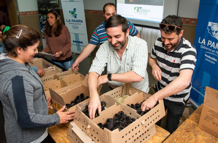 Capacitación y entrega de ponedoras en Colonia Santa María