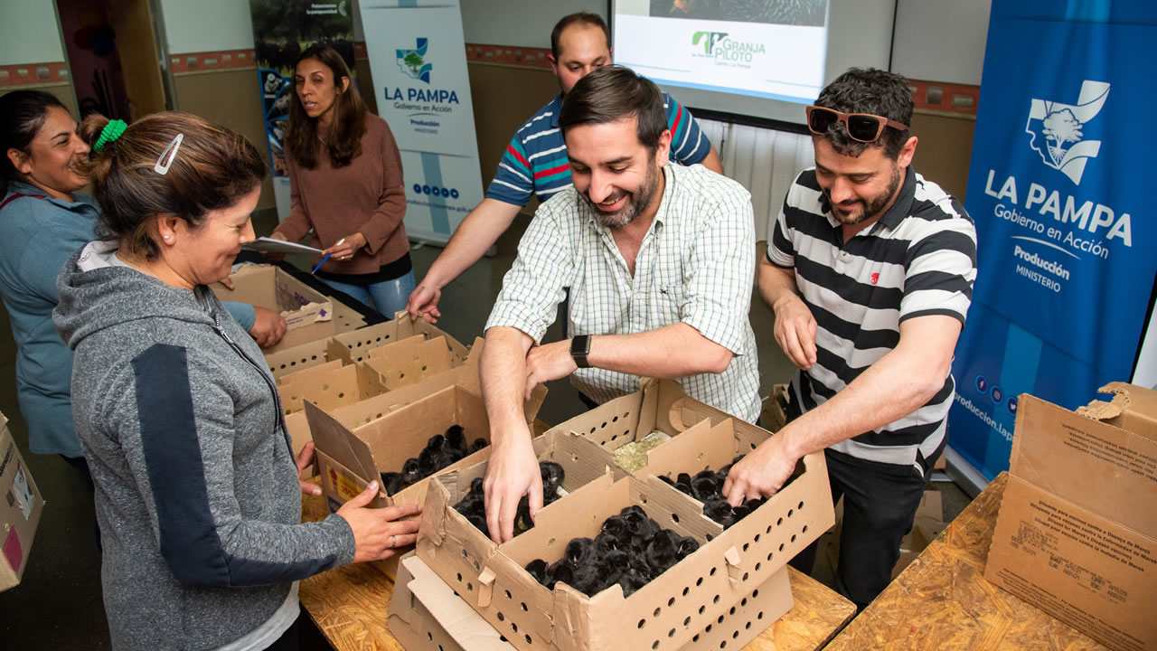 Capacitación y entrega de ponedoras en Colonia Santa María