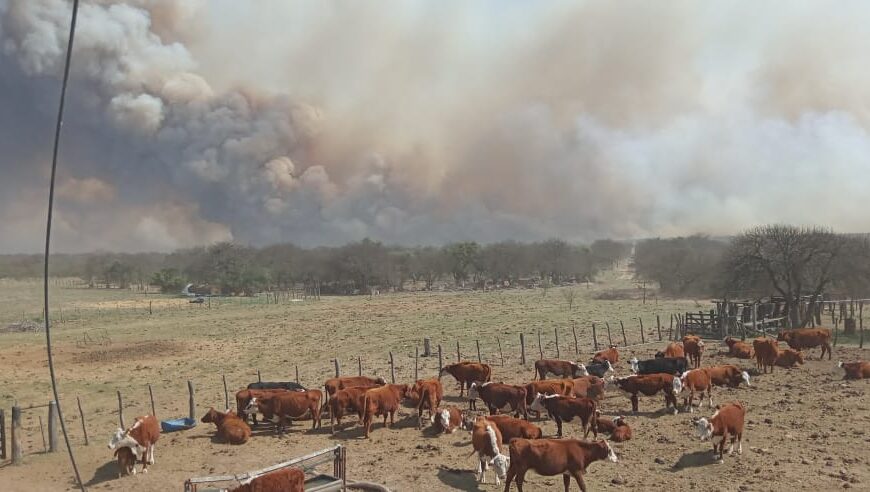 Producción recorrió establecimientos afectados por los incendios