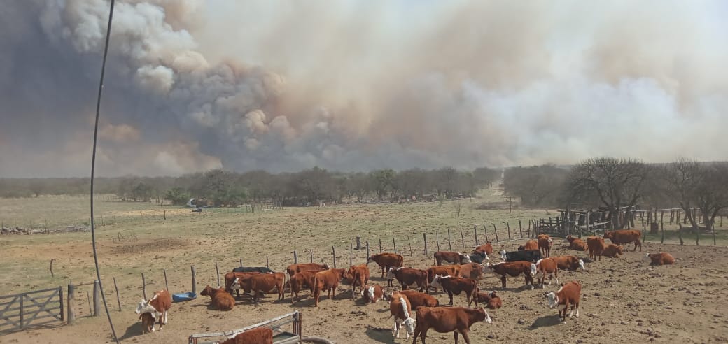 Producción recorrió establecimientos afectados por los incendios