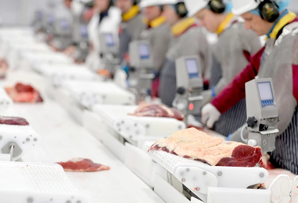 Una investigación en Reino Unido enumera los mensajes más apreciados por los consumidores en los envases de carne