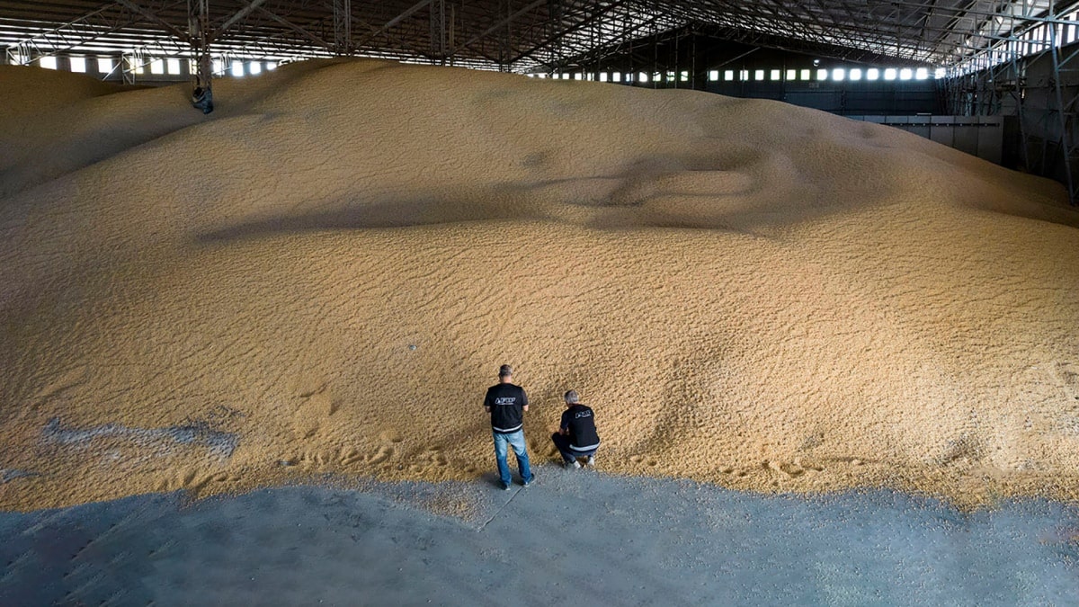 Retenciones: U$S 1 millón por hora, el aporte de las cadenas agrícolas en 2022