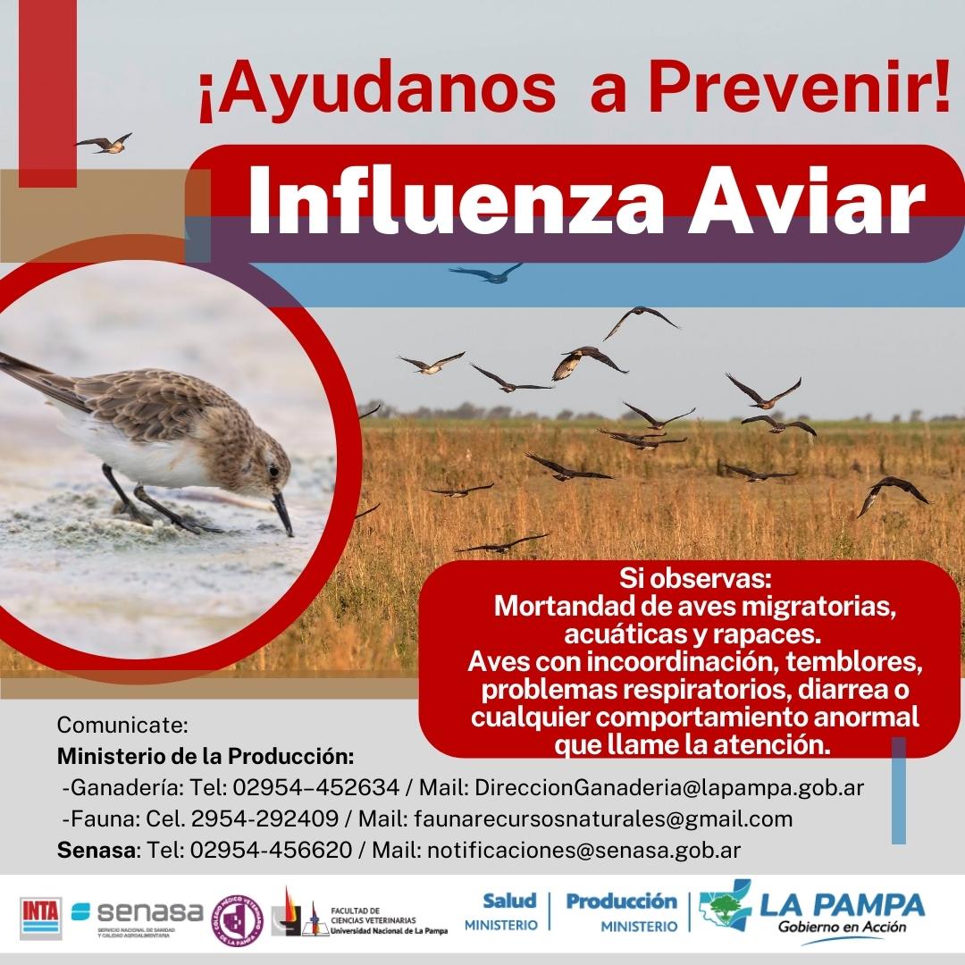 Mesa Provincial de Zoonosis alertó sobre la peligrosidad de la Influenza Aviar