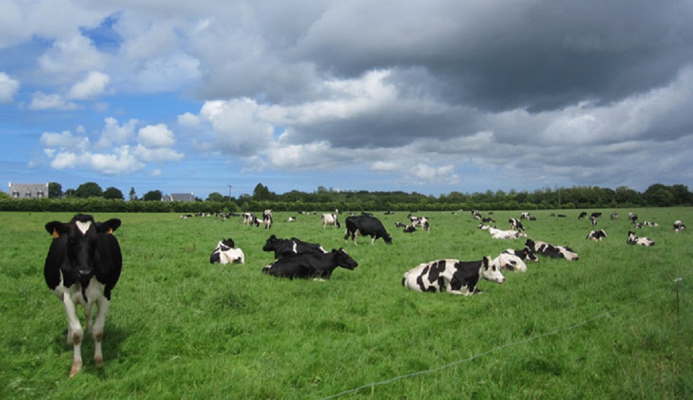 Dudas y certezas para el sector lácteo mundial