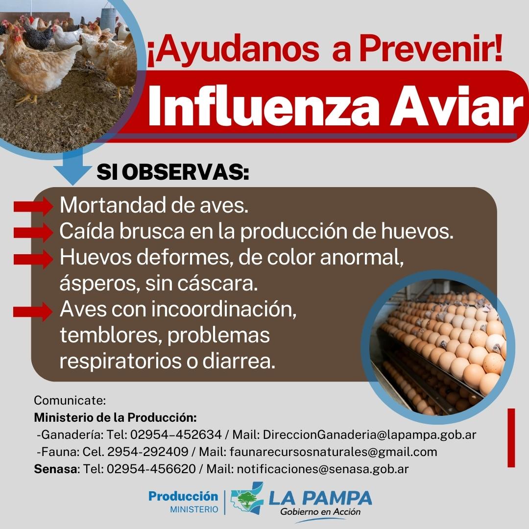 Alerta y medidas de prevención ante el avance de la Influenza Aviar