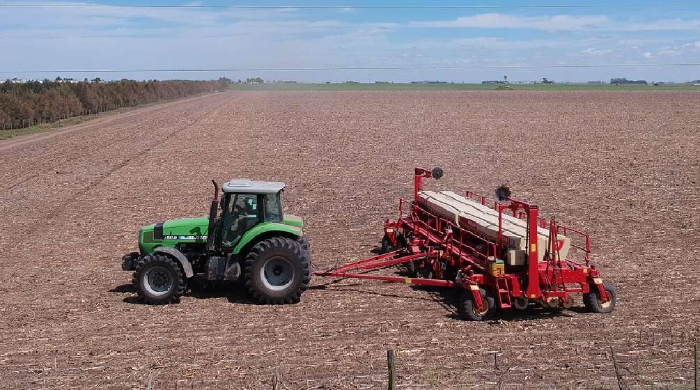 Eliminan restricciones para la exportación de trigo y maíz