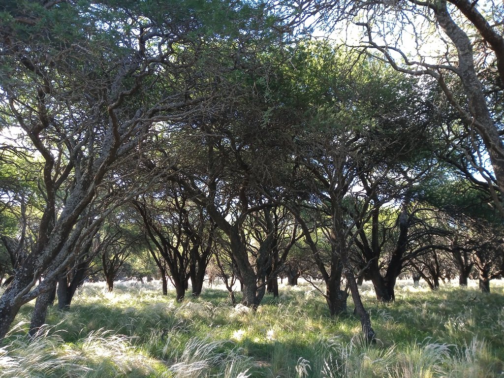 Inscripción de campos para desarrollar caza deportiva mayor y menor