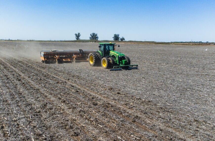 Aseguran que El Niño plantea condiciones favorables para la campaña gruesa