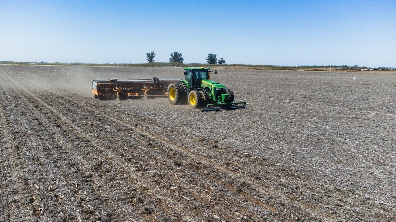 Aseguran que El Niño plantea condiciones favorables para la campaña gruesa