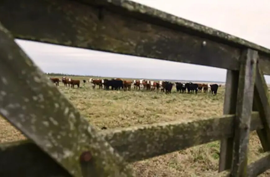 Córdoba: los productores no pagarán tasas por trámites agropecuarios