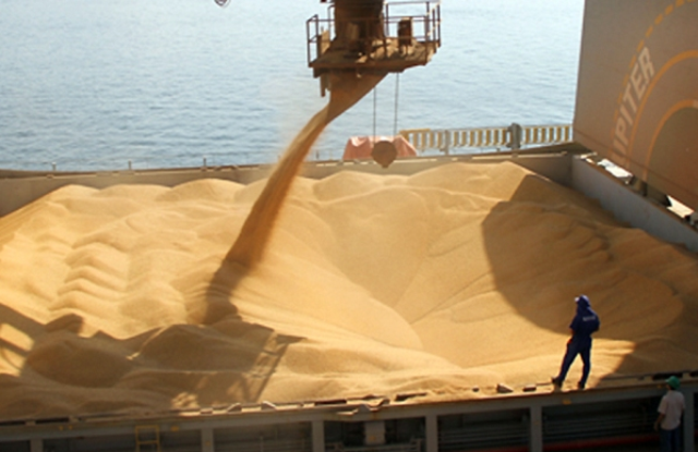 En lo que va de la campaña, el ingreso de camiones con trigo al Gran Rosario cayó un 80%