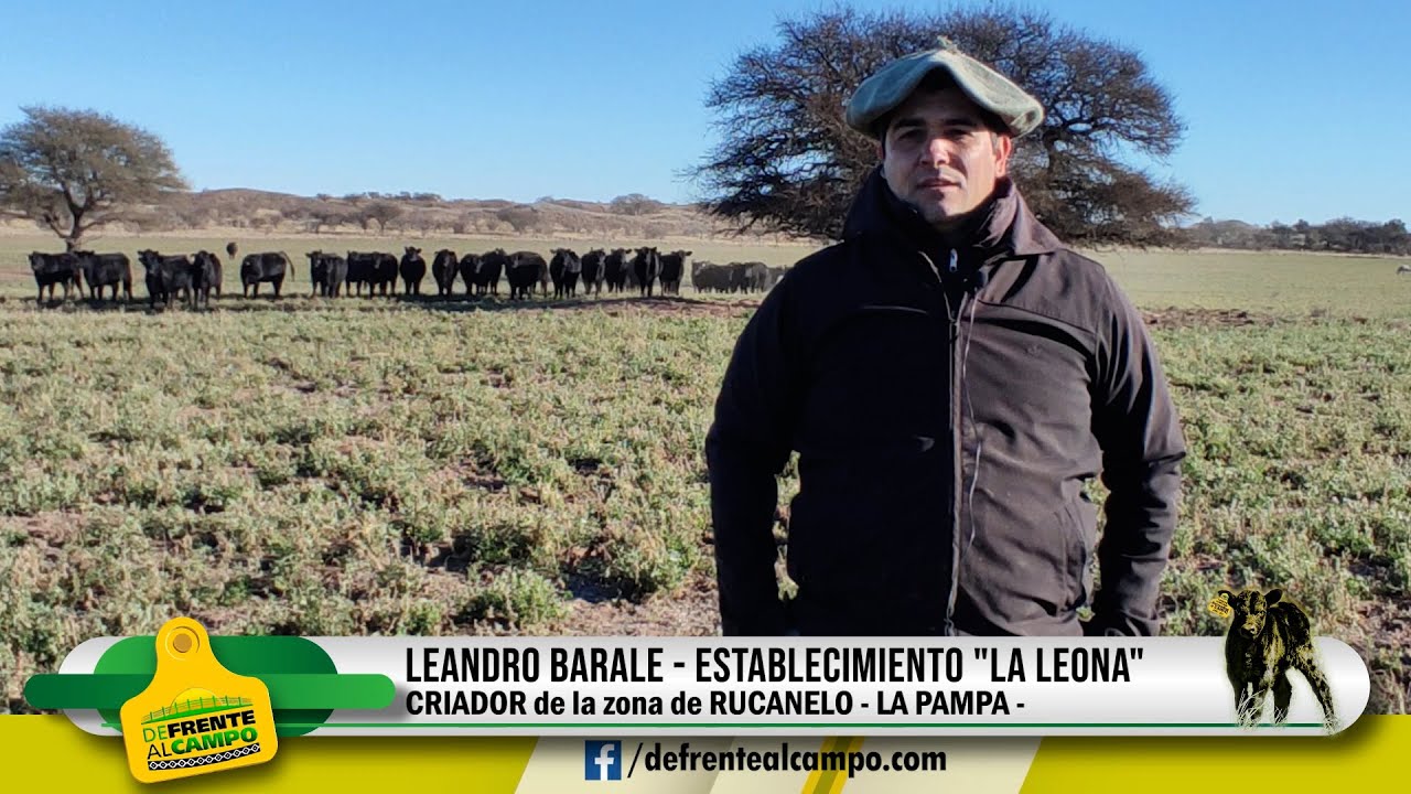 Entrevista: LEANDRO BARALE – Establecimiento «LA LEONA» – RUCANELO -L.P.- Junio 2021 –