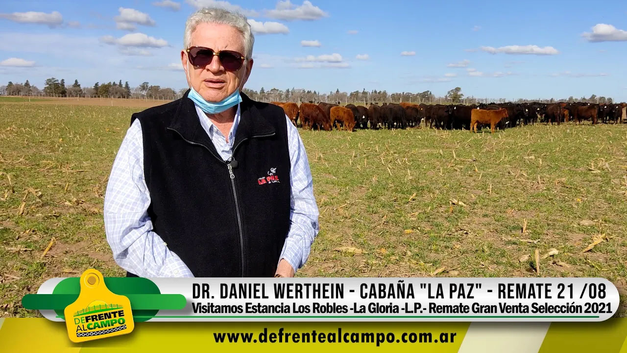Entrevista: DANIEL WERTHEIN – Cabaña «LA PAZ» – Julio 2021-.