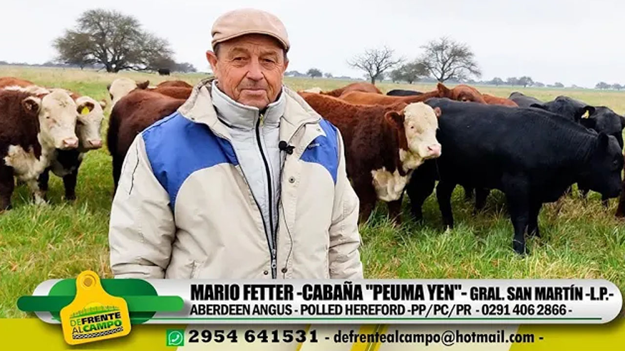 Entrevista: MARIO FETTER -Cabaña «PEUMA YEN» – Junio 2021-