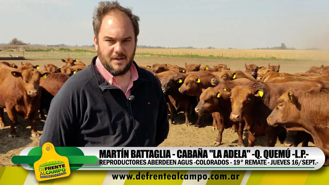 Entrevista: MARTIN BATTAGLIA – Cabaña «LA ADELA» –  Sept. 2021 –