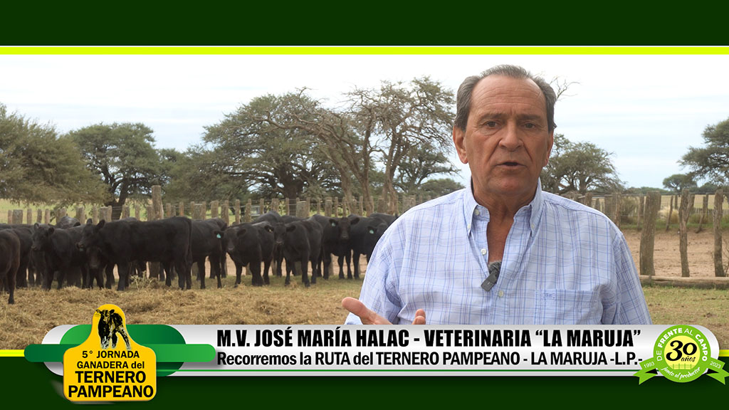 Jornada del Ternero 2023: José Halac – Asesor Veterinario – La Maruja –