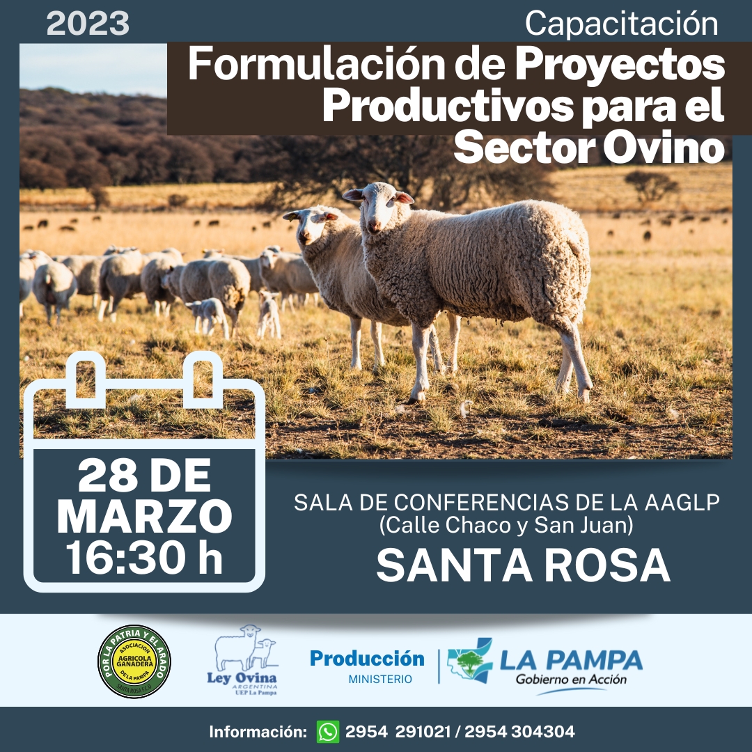 Convocatoria de Formuladores de Proyectos privados para el sector ovino