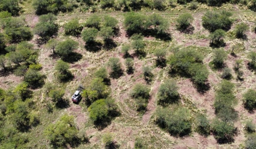 Convocatoria para Aportes No Reintegrables provenientes de la Ley de Bosques