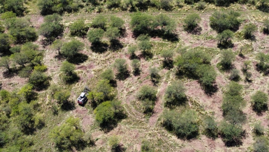 Convocatoria para Aportes No Reintegrables provenientes de la Ley de Bosques