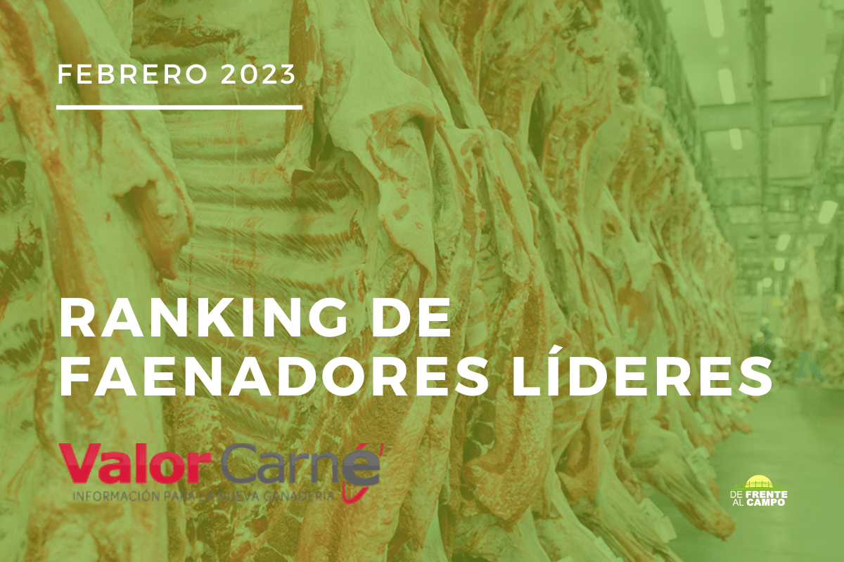 En febrero la faena de las industrias líderes bajó un poco más que la total