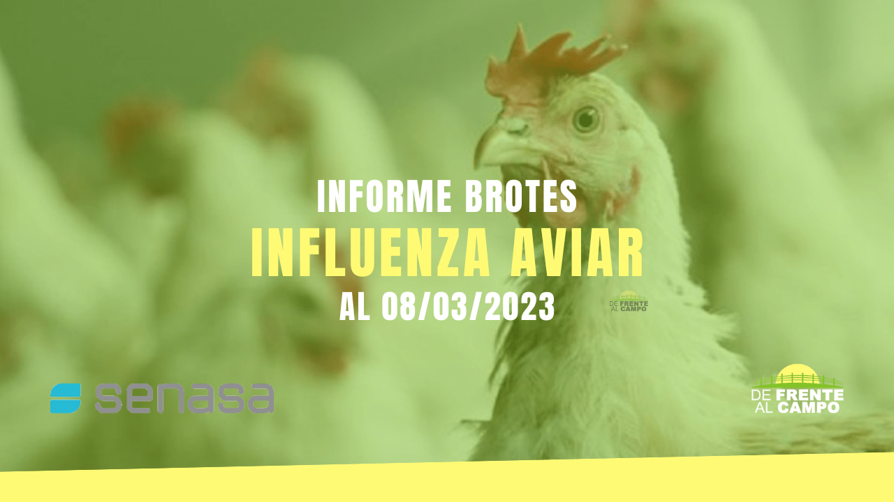Informe brotes influenza aviar al 08/03/2023