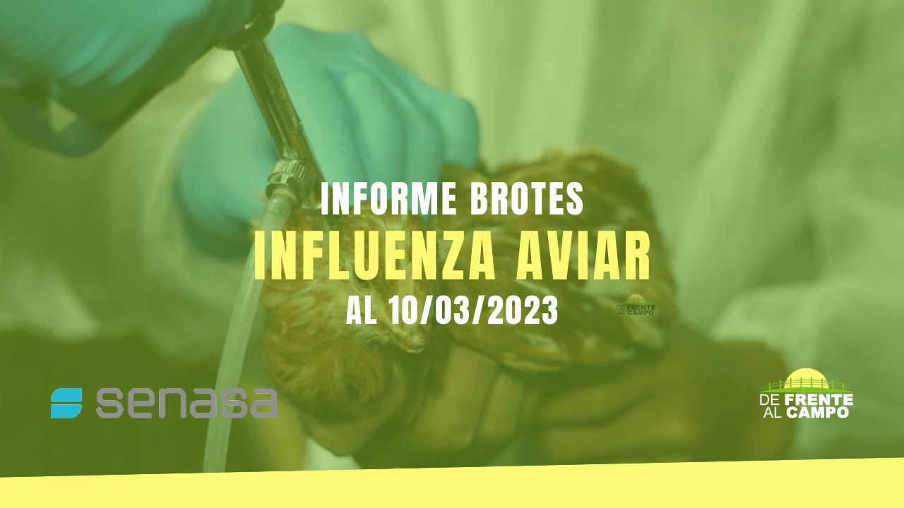 Informe brotes influenza aviar al 10/03/2023