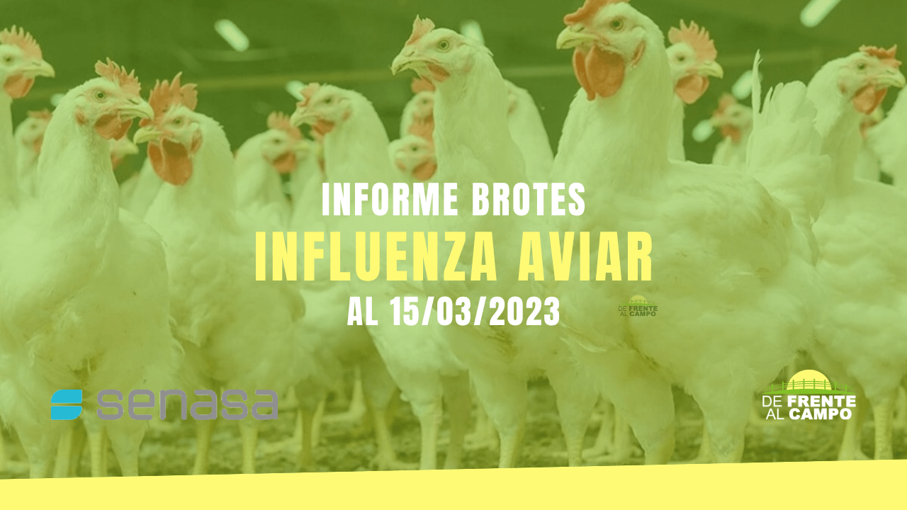 Informe brotes influenza aviar al 15/03/2023
