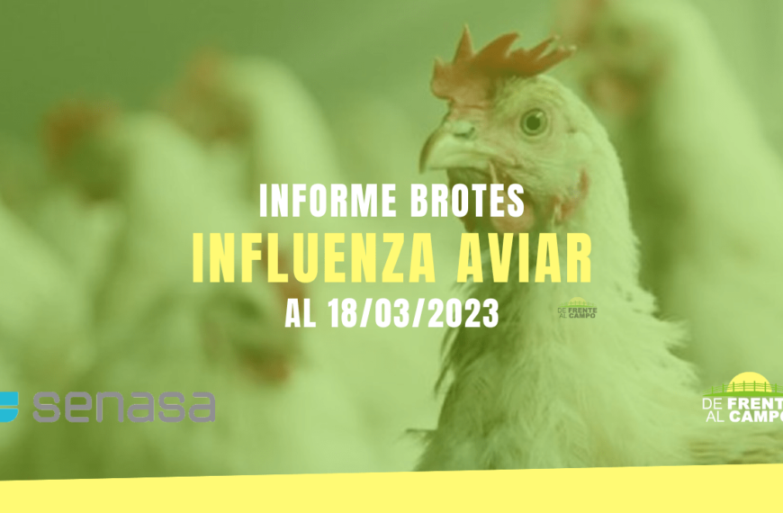 Informe brotes influenza aviar al 18/03/2023