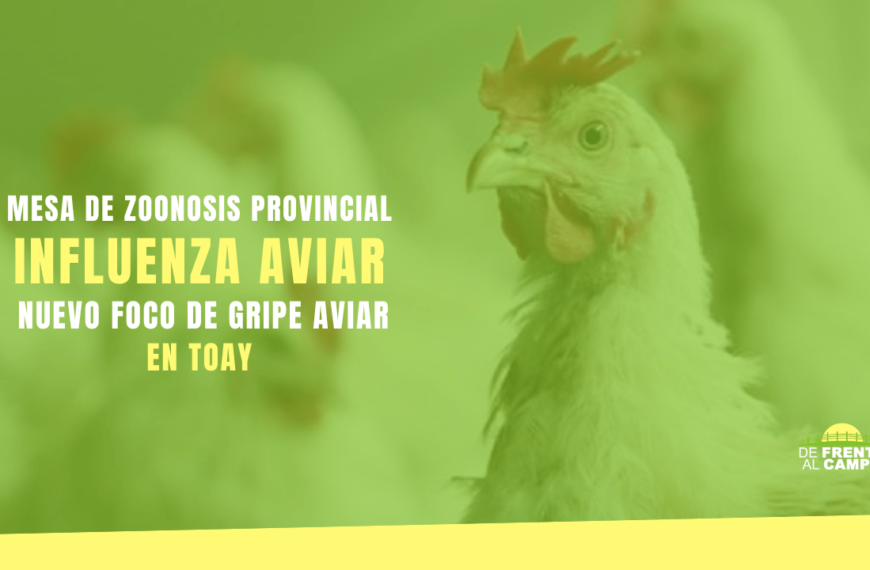 Mesa de Zoonosis Provincial confirmó nuevo foco de Gripe Aviar