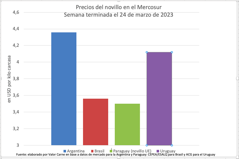 Novillo Mercosur: pese a una nueva caída, la Argentina sigue siendo la plaza de mayor valor