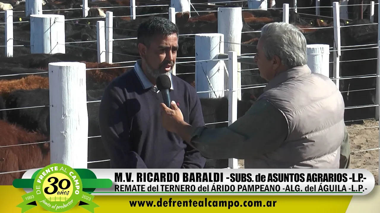Ternero del Árido Pampeano: Ricardo Baraldi – Subs. de Asuntos Agrarios  -L.P.-