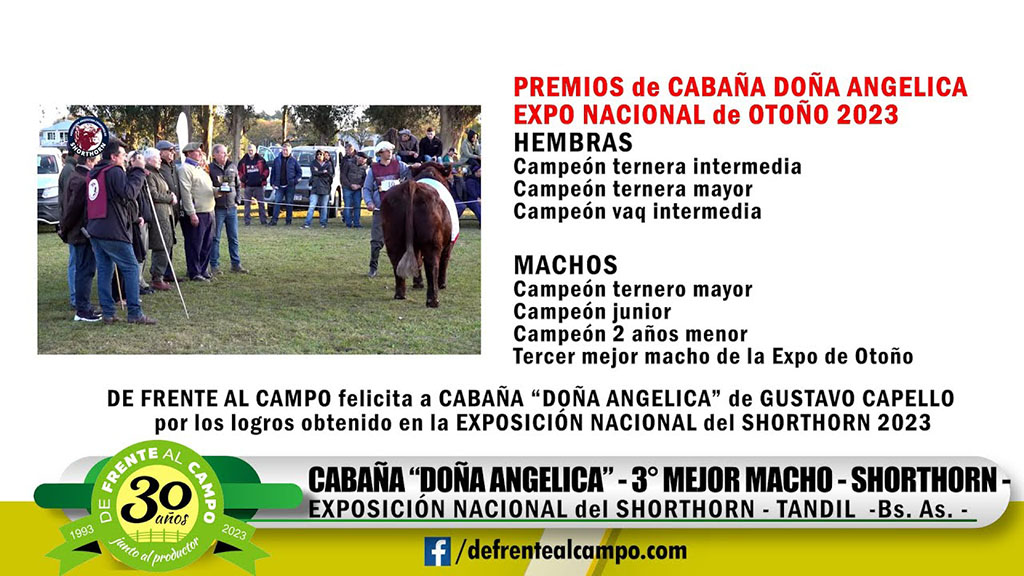 Shorthorn de Otoño: Cabañas pampeanas premiadas en Expo Nacional –