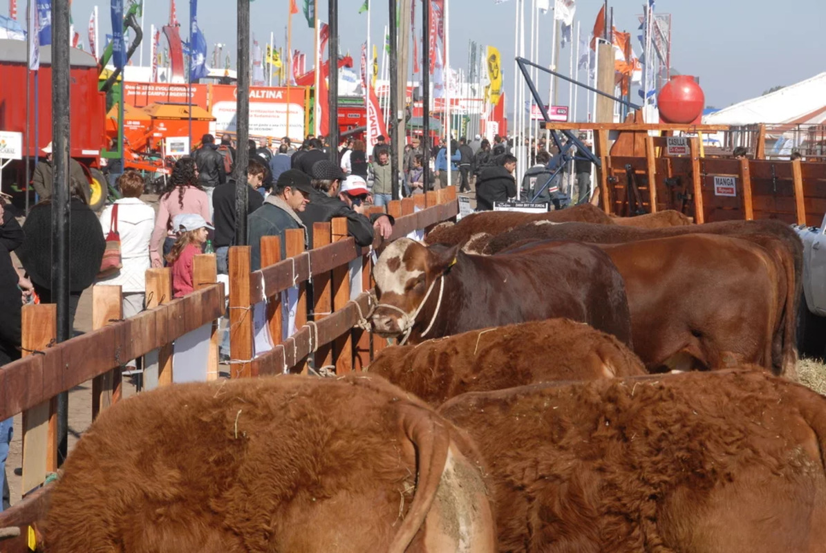 Hecha de vos, hecha de campo: a pocos días de Agroactiva 2023