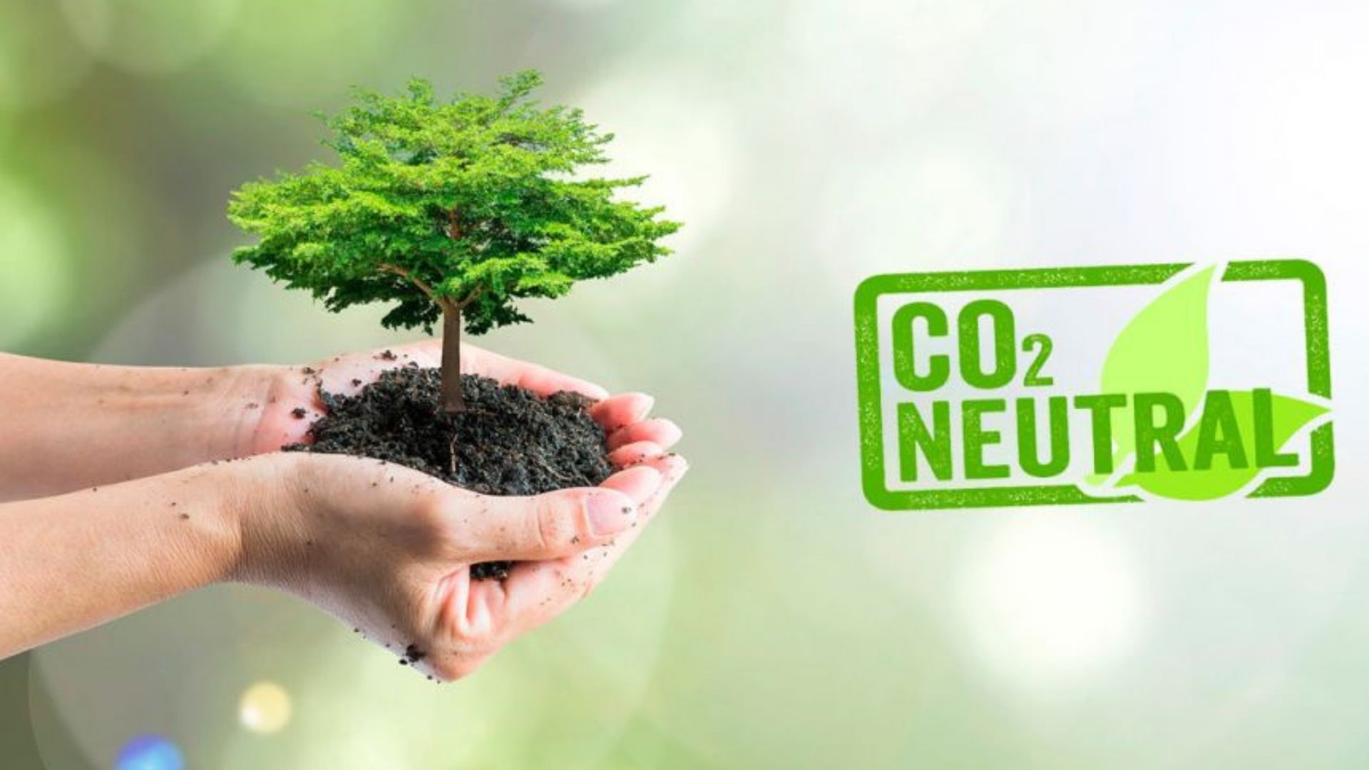Agroactiva 2023  medirá su impacto ambiental junto a Carbón Neutral +