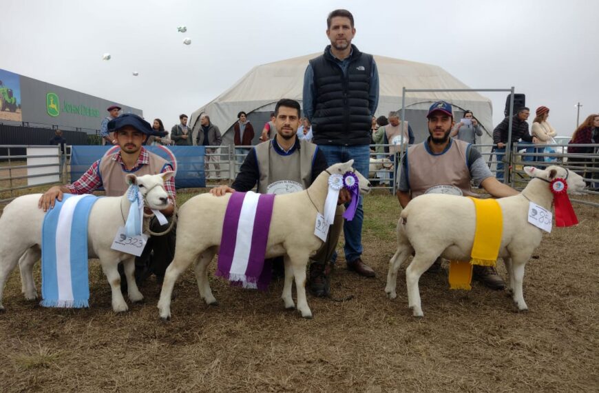 Hugo Schaffrath, el reconocido jurado internacional de ovinos, en AgroActiva