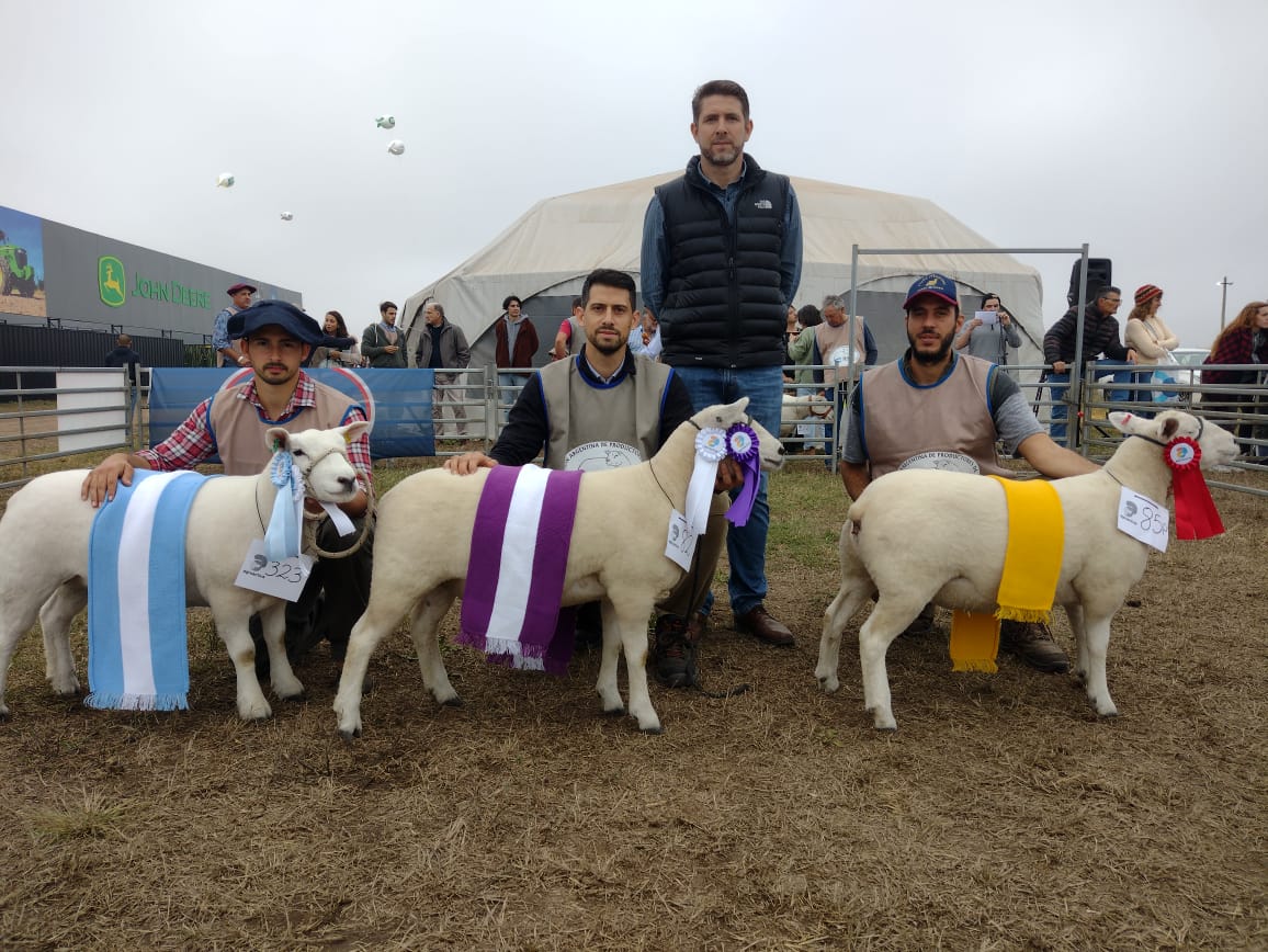 Hugo Schaffrath, el reconocido jurado internacional de ovinos, en AgroActiva