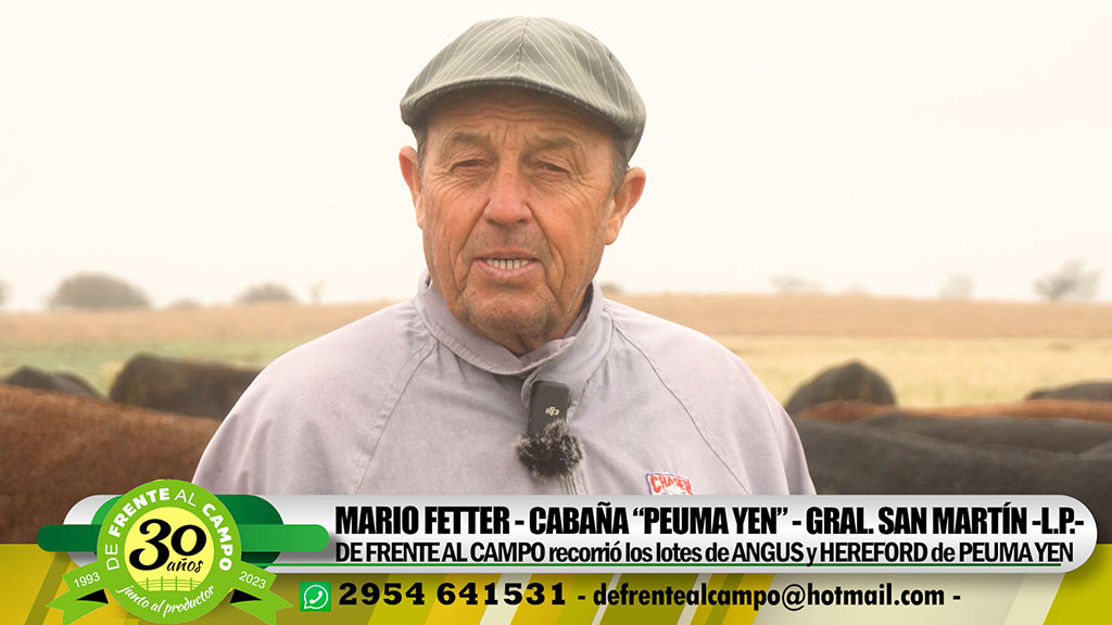Entrevista: Mario Fetter – Cabaña » PEUMA YEN» –