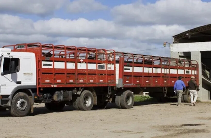 Se suspende para readecuación la verificación de transportes de animales