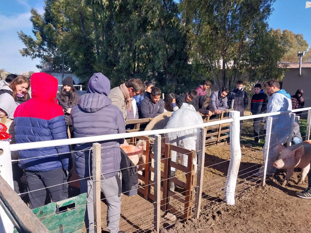 Buena respuesta a la jornada para el sector porcino en Jacinto Arauz