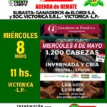 Ganaderos de Elordi S.A.y Sociedad Victorica S.R.L. | Victorica – La Pampa | Próximo Remate Feria el Miércoles 08 de mayo del 2024
