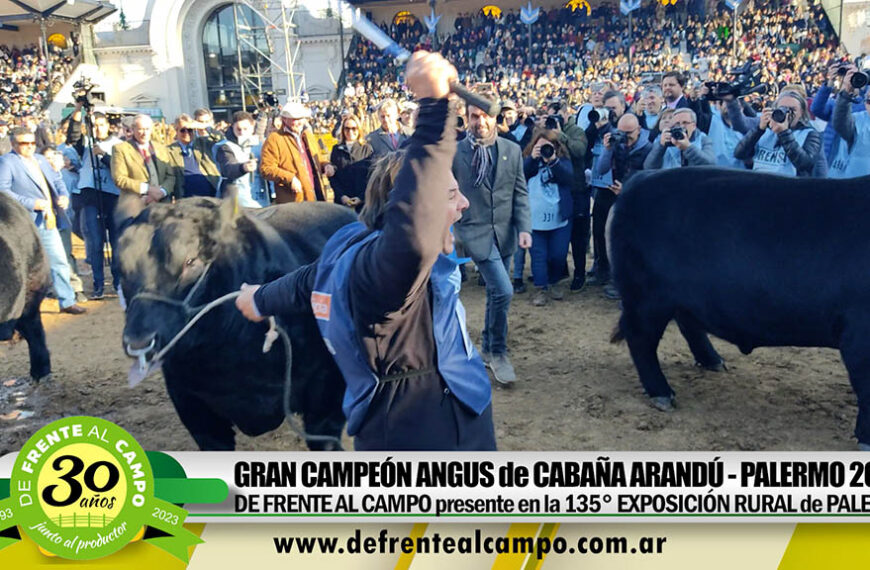 Palermo 2023 -Gran Campeón Angus de Cabaña «Arandú» de Vizzolini